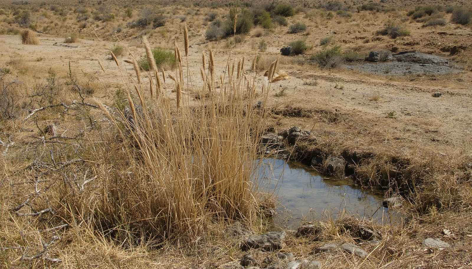 how-did-ancient-people-dig-wells