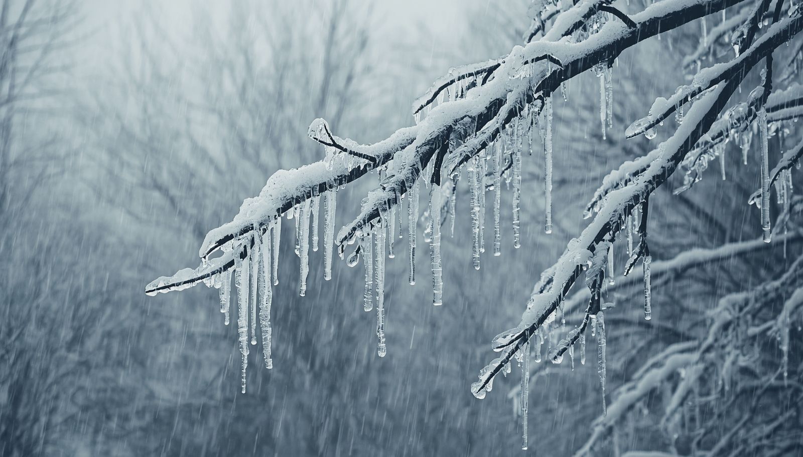 what-determines-snow-or-rain